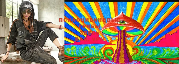 стафф Нефтекумск