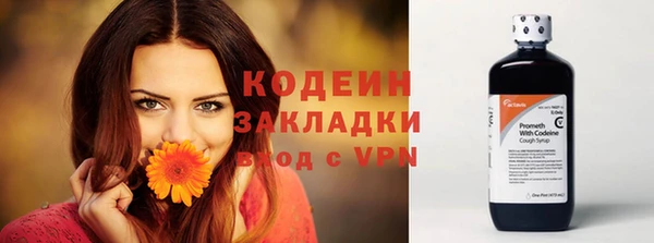кокс Нея