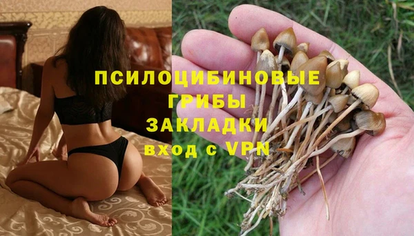 кокс Нея