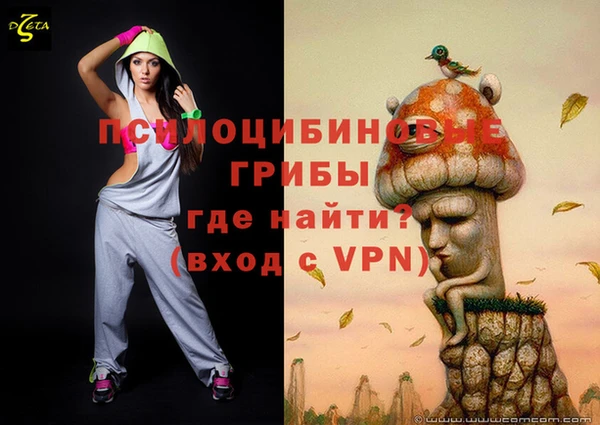 бошки Нефтегорск