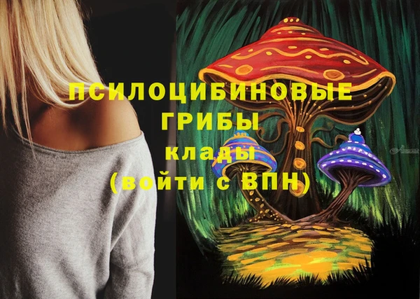 бошки Нефтегорск