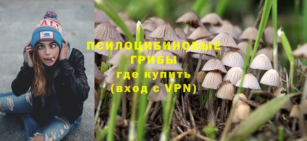 бошки Нефтегорск